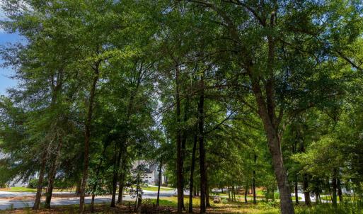 Photo #12 of 3627 White Cliffs, Castle Hayne, NC 0.3 acres