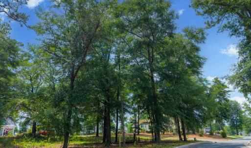 Photo #3 of 3627 White Cliffs, Castle Hayne, NC 0.3 acres