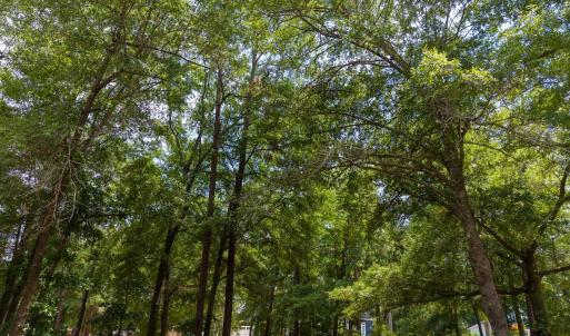 Photo #11 of 3627 White Cliffs, Castle Hayne, NC 0.3 acres
