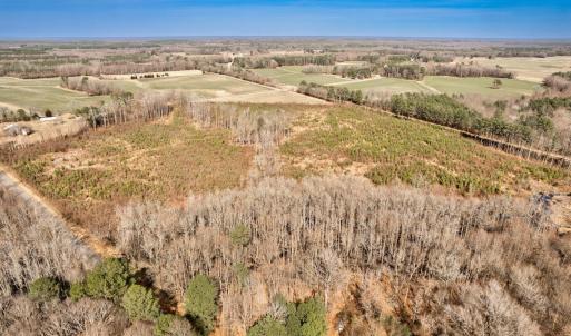 Photo #2 of Ethridge, Whitakers, NC 42.3 acres
