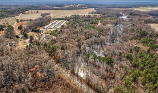 Photo #5 of Ethridge, Whitakers, NC 42.3 acres