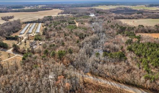 Photo #4 of Ethridge, Whitakers, NC 42.3 acres