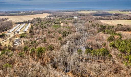 Photo #3 of Ethridge, Whitakers, NC 42.3 acres