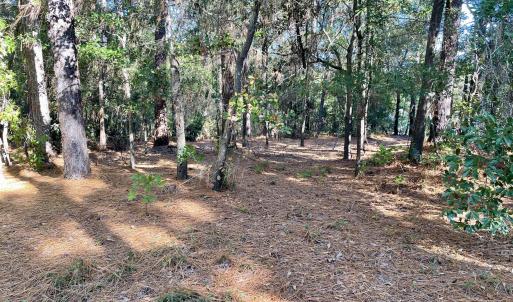 Photo #5 of Hylan, Hamlet, NC 2.0 acres