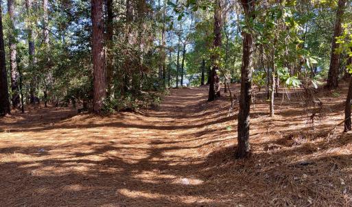 Photo #7 of Hylan, Hamlet, NC 2.0 acres
