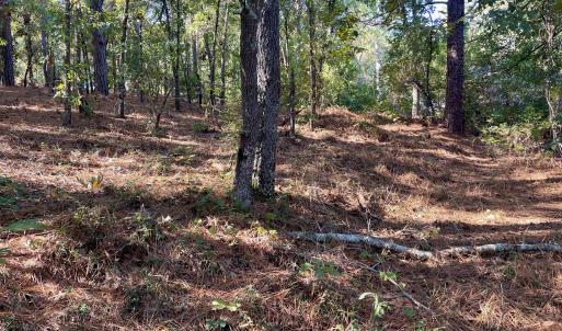 Photo #4 of Hylan, Hamlet, NC 2.0 acres