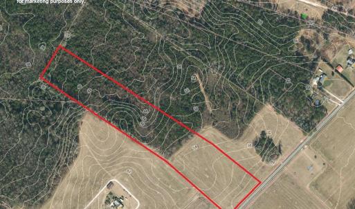 Photo #5 of Lot 7 Point Caswell Road, Willard, NC 11.0 acres