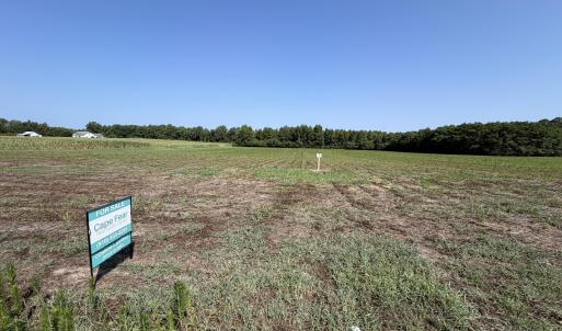 Photo #5 of Lot 7 Point Caswell Road, Willard, NC 11.0 acres