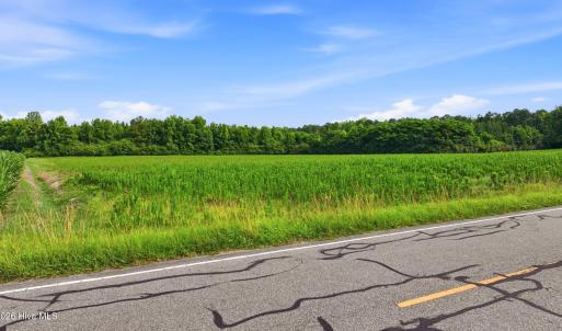 Photo #3 of Lot 7 Point Caswell Road, Willard, NC 11.0 acres