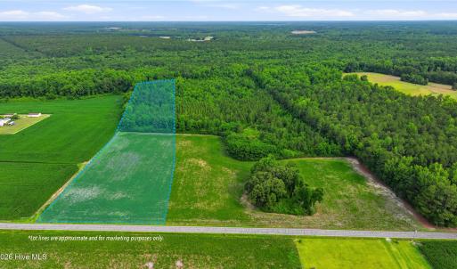 Photo #2 of Lot 7 Point Caswell Road, Willard, NC 11.0 acres