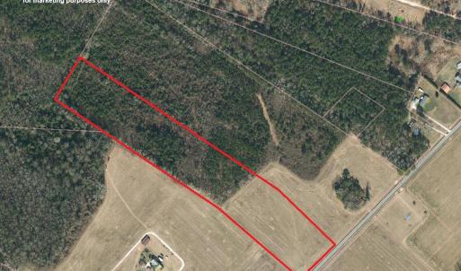 Photo #6 of Lot 7 Point Caswell Road, Willard, NC 11.0 acres