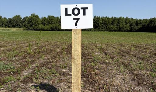 Photo #4 of Lot 7 Point Caswell Road, Willard, NC 11.0 acres