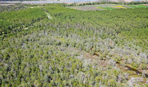 Photo #8 of 4.57 Acres Meekins, Bayboro, NC 4.6 acres