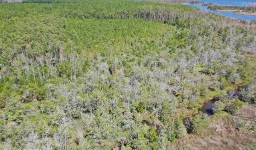 Photo #15 of 4.57 Acres Meekins, Bayboro, NC 4.6 acres