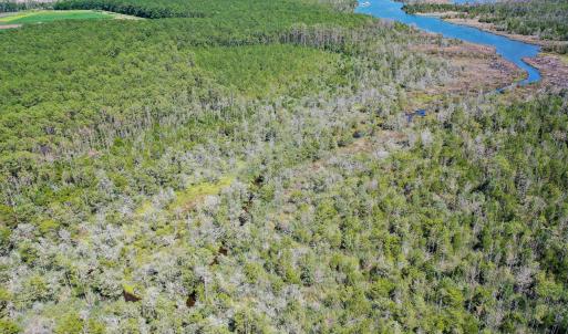 Photo #9 of 4.57 Acres Meekins, Bayboro, NC 4.6 acres