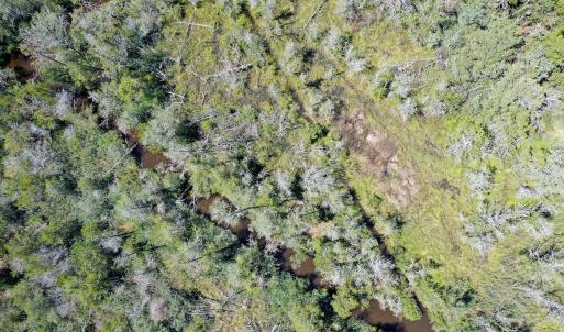 Photo #12 of 4.57 Acres Meekins, Bayboro, NC 4.6 acres