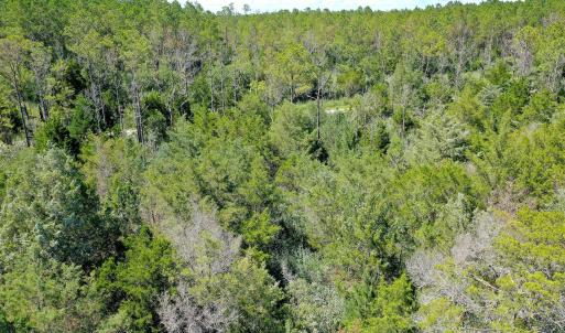 Photo #10 of 4.57 Acres Meekins, Bayboro, NC 4.6 acres