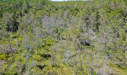 Photo #13 of 4.57 Acres Meekins, Bayboro, NC 4.6 acres