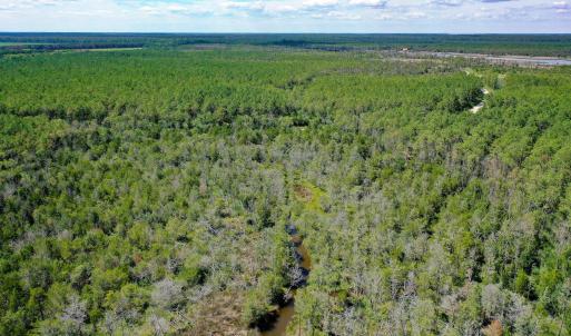 Photo #7 of 4.57 Acres Meekins, Bayboro, NC 4.6 acres