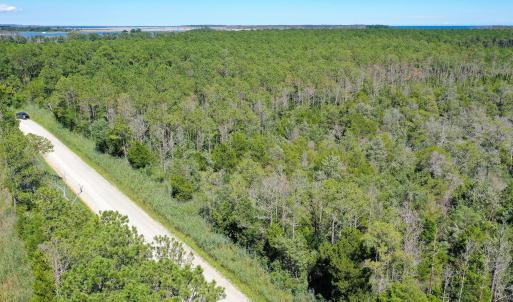 Photo #14 of 4.57 Acres Meekins, Bayboro, NC 4.6 acres
