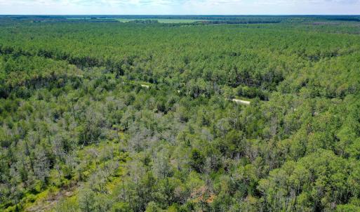 Photo #6 of 4.57 Acres Meekins, Bayboro, NC 4.6 acres