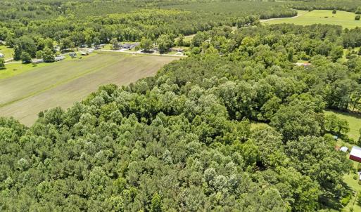 Photo #9 of Meadowview, Jacksonville, NC 19.2 acres