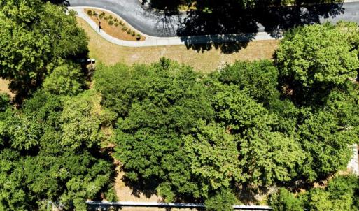 Photo #3 of 9162 Bramshill, Calabash, NC 0.2 acres
