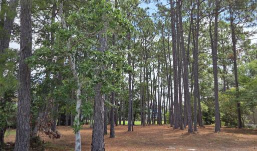 Photo #21 of 3451 Haskell, Southport, NC 0.4 acres