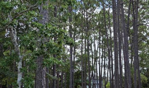Photo #20 of 3451 Haskell, Southport, NC 0.4 acres