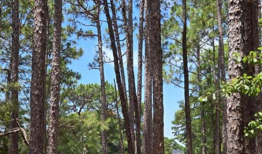 Photo #10 of 3451 Haskell, Southport, NC 0.4 acres