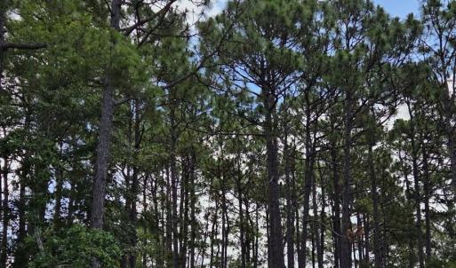 Photo #15 of 3451 Haskell, Southport, NC 0.4 acres