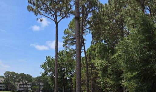Photo #9 of 3451 Haskell, Southport, NC 0.4 acres