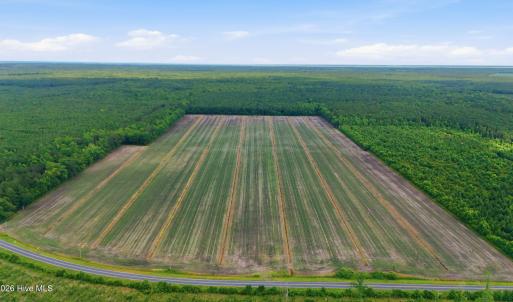 Photo #1 of N/A Florence, Merritt, NC 95.9 acres