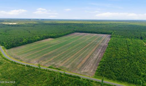 Photo #2 of N/A Florence, Merritt, NC 95.9 acres