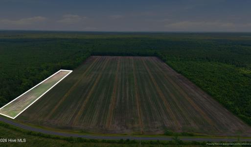 Photo #4 of N/A Florence, Merritt, NC 95.9 acres