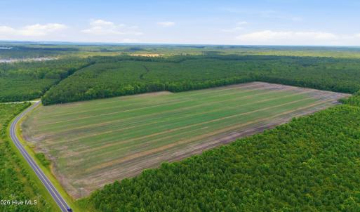 Photo #3 of N/A Florence, Merritt, NC 95.9 acres