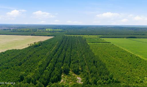 Photo #1 of Spain Farm, Stonewall, NC 33.0 acres