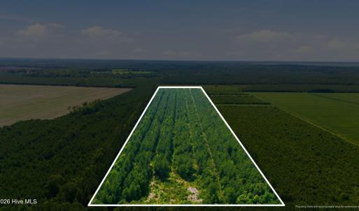 Photo #2 of Spain Farm, Stonewall, NC 33.0 acres