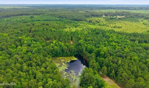 Photo #7 of 481 Cypress Farm, Cameron, NC 13.9 acres