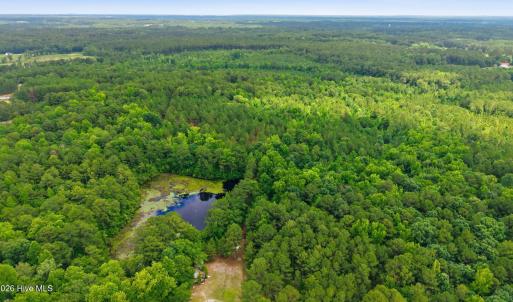 Photo #6 of 481 Cypress Farm, Cameron, NC 13.9 acres