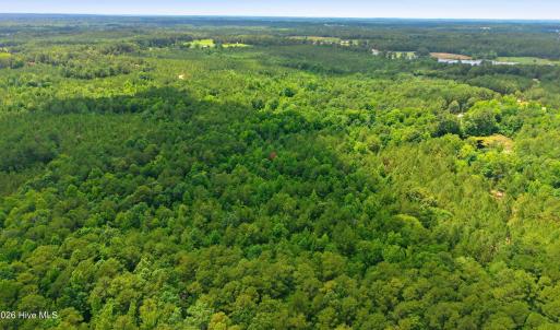 Photo #5 of 481 Cypress Farm, Cameron, NC 13.9 acres