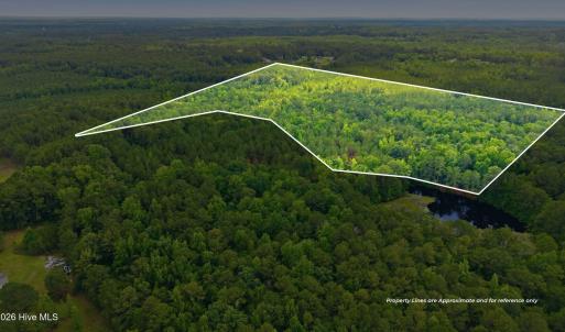 Photo #1 of 481 Cypress Farm, Cameron, NC 13.9 acres