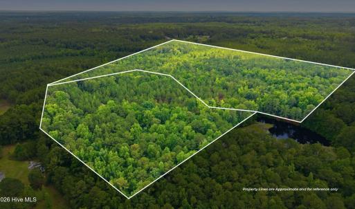 Photo #2 of 481 Cypress Farm, Cameron, NC 13.9 acres