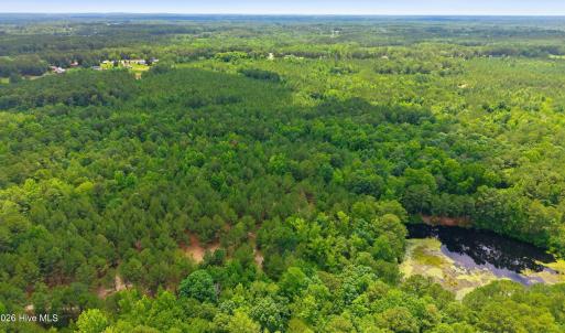 Photo #3 of 481 Cypress Farm, Cameron, NC 13.9 acres