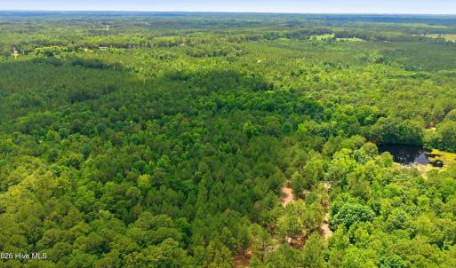 Photo #4 of 481 Cypress Farm, Cameron, NC 13.9 acres