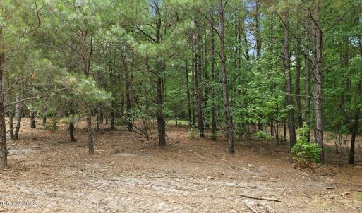 Photo #8 of 481 Cypress Farm, Cameron, NC 13.9 acres