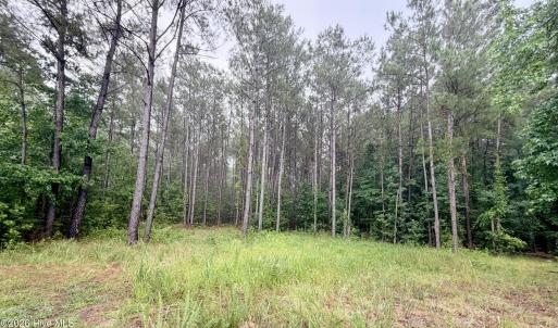Photo #1 of Tract F Us 421, Currie, NC 4.9 acres