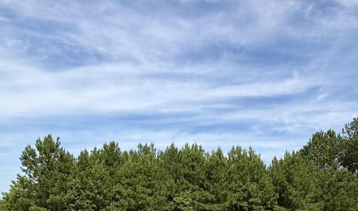 Photo #1 of Lot 3 Us 17, Washington, NC 23.1 acres