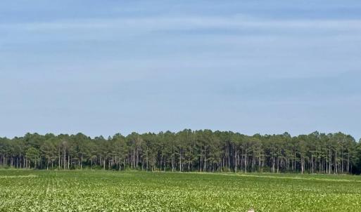 Photo #2 of Lot 3 Us 17, Washington, NC 23.1 acres