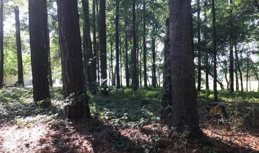 Photo #7 of 3247 Mullet Creek, Bolivia, NC 0.4 acres